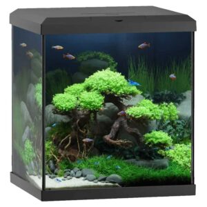 Juwel akvarijum vio cube 54